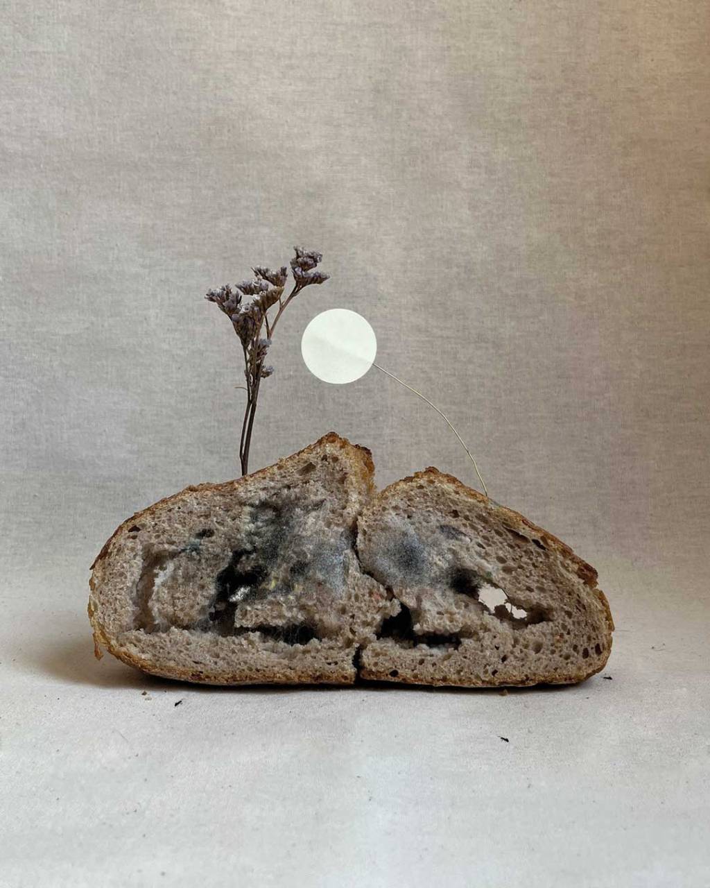 Fermentazione generativa